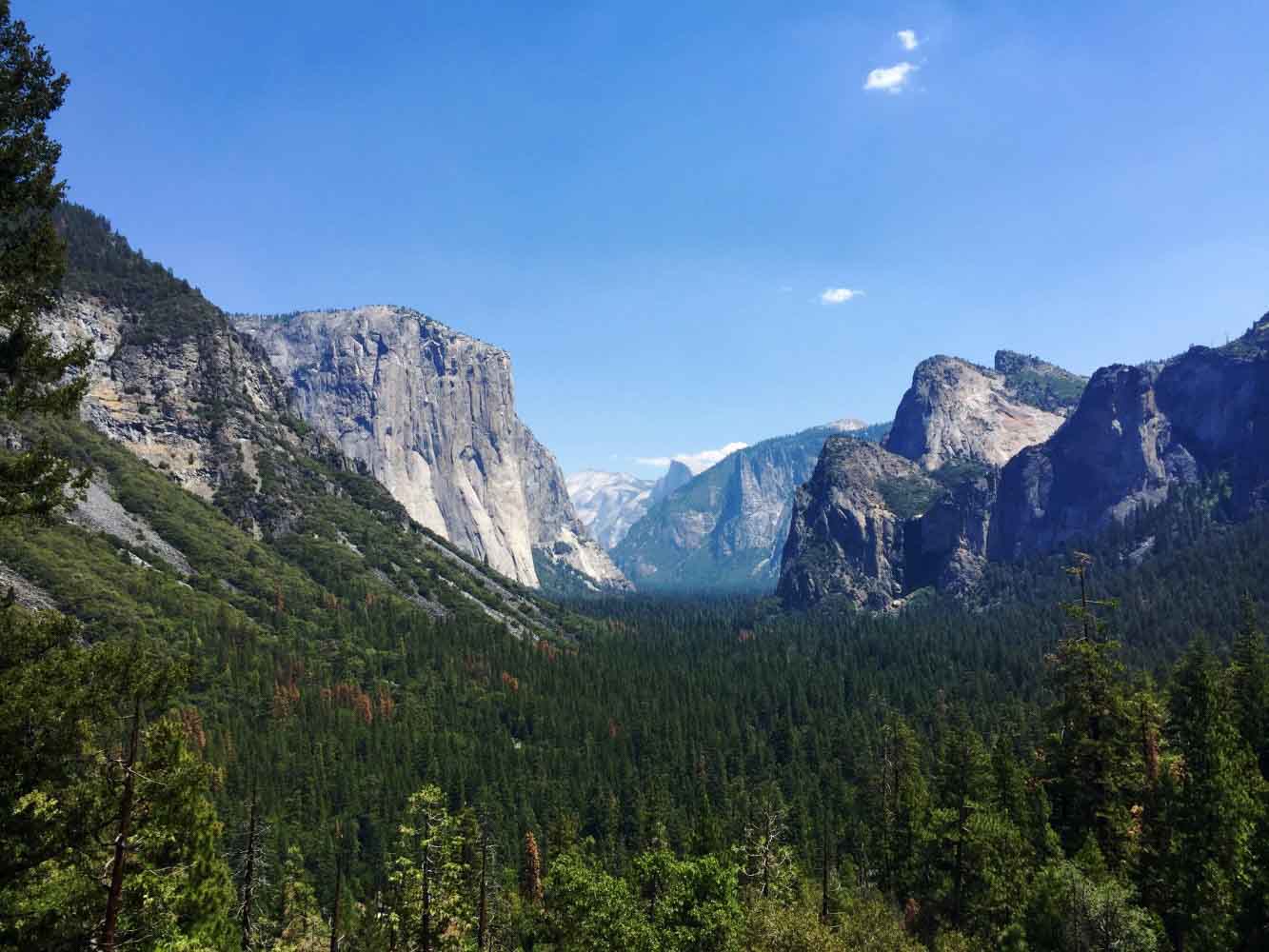 A Partnership with Nature