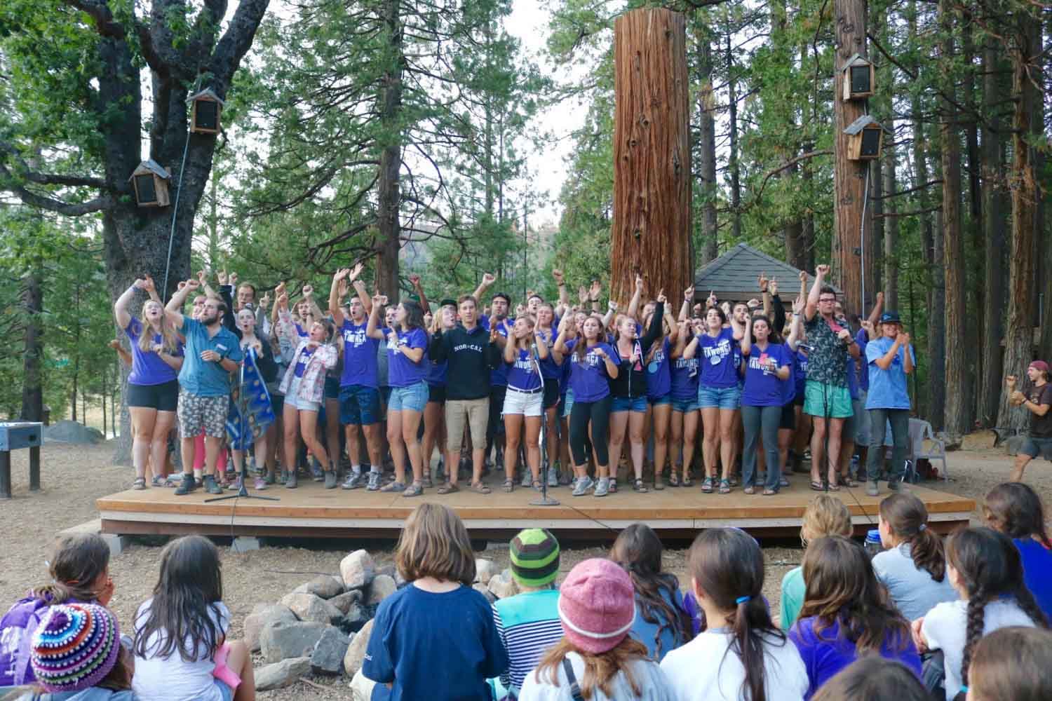 Welcome to Camp, Session IV!