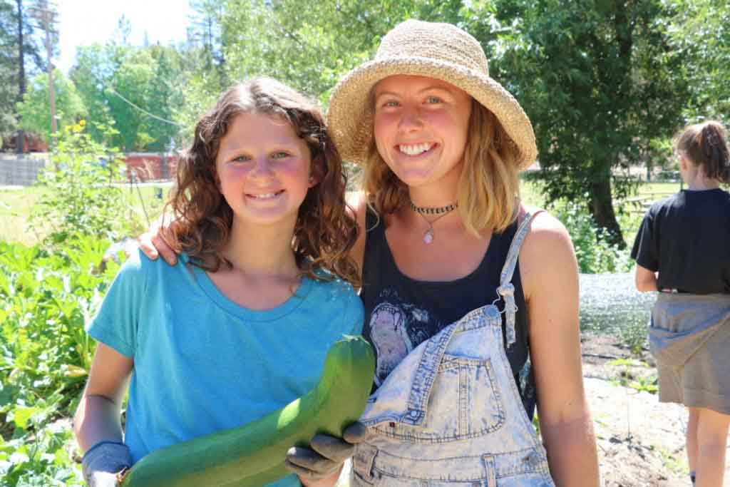 The Gift of Harvest