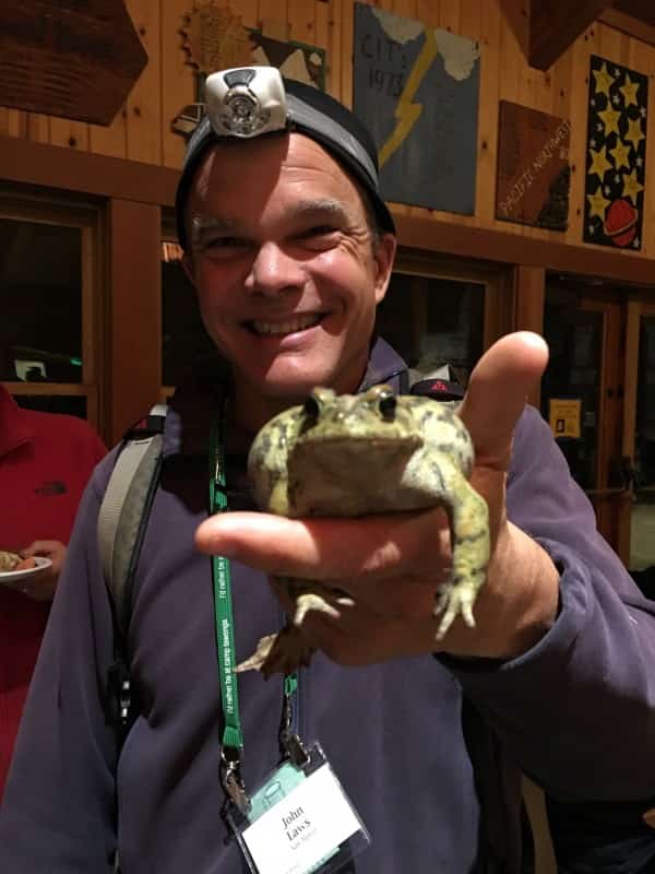 John-Muir-Laws-with-Western-Toad