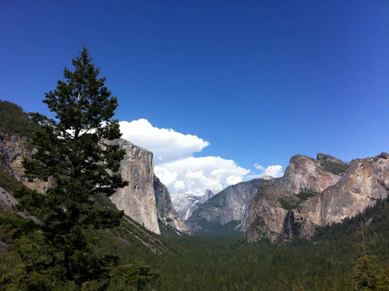 A Partnership with Nature