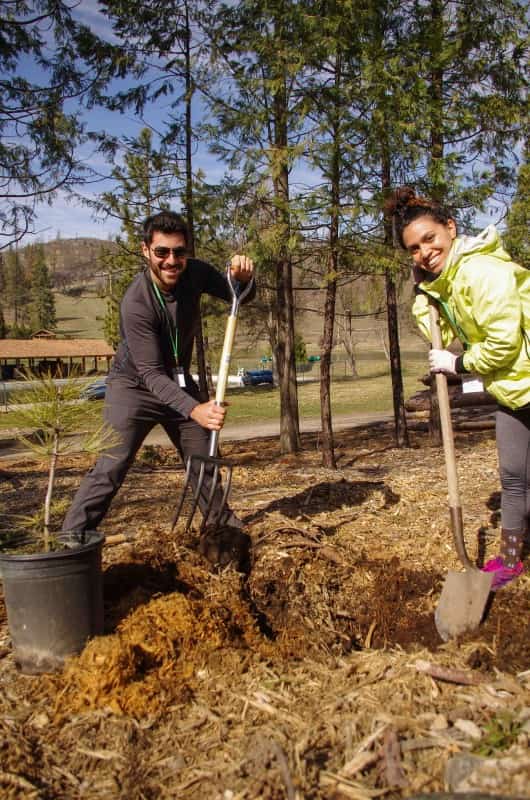 Planting to Replenish