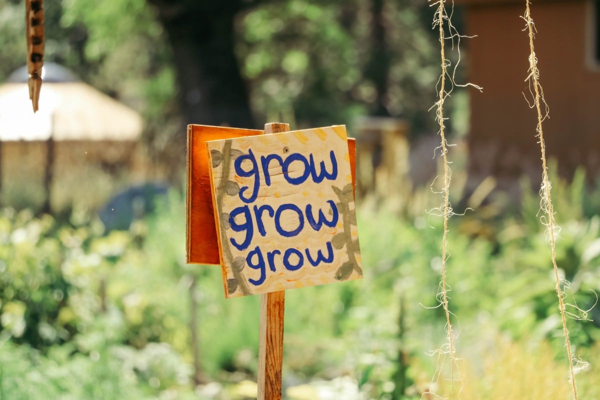 grow